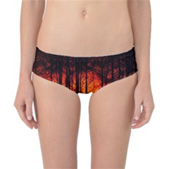 Forest Fire Forest Climate Change Classic Bikini Bottoms by Wegoenart