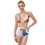 Community of Valencia Coat of Arms Tied Up Two Piece Swimsuit