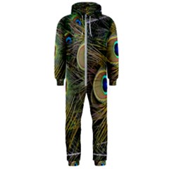 Peacock Tail Feathers Close Up Hooded Jumpsuit (men)  by Pakrebo
