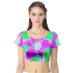Hot Pink Stargazer Lily On Turquoise Blue And Green Short Sleeve Crop Top by myrubiogarden