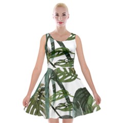 Botanical Illustration Palm Leaf Velvet Skater Dress