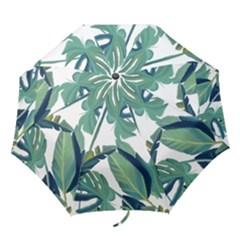 Plants Leaves Tropical Nature Folding Umbrellas by Alisyart