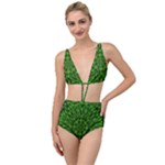 Love The Tulips In The Right Season Tied Up Two Piece Swimsuit