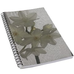 Paperwhite 5 5  X 8 5  Notebook by Riverwoman