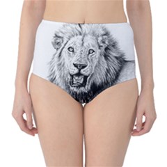 Lion Wildlife Art And Illustration Pencil Classic High-waist Bikini Bottoms by Sudhe
