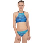 Into the Chill  Racer Front Bikini Set
