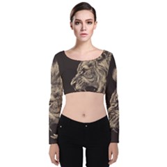 Angry Male Lion Velvet Long Sleeve Crop Top by Sudhe