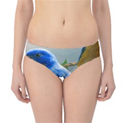 Loving Birds Hipster Bikini Bottoms by Sudhe