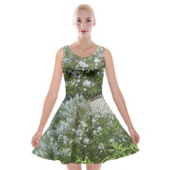 Lurie Garden Amsonia Velvet Skater Dress by Riverwoman