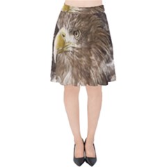 Sea Eagle Raptor Nature Predator Velvet High Waist Skirt by Pakrebo