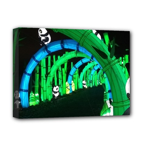 Dragon Lights Panda Deluxe Canvas 16  X 12  (stretched)  by Riverwoman