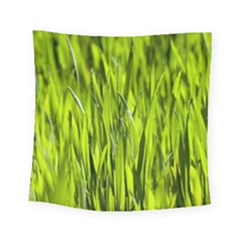 Agricultural Field   Square Tapestry (small) by rsooll