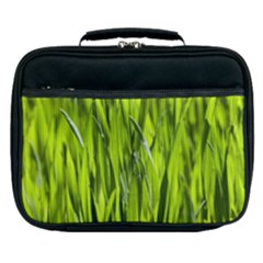 Agricultural Field   Lunch Bag by rsooll