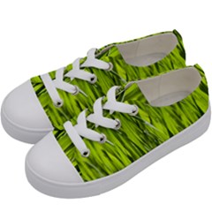 Agricultural Field   Kids  Low Top Canvas Sneakers by rsooll