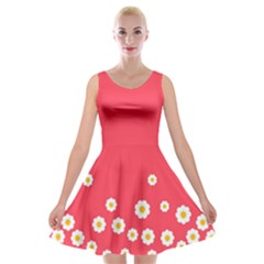Flowers White Daisies Pattern Red Background Flowers White Daisies Pattern Red Bottom Velvet Skater Dress