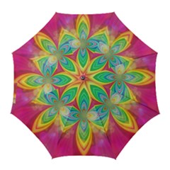 Color Abstract Form Ellipse Bokeh Golf Umbrellas