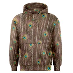 Peacock Feather Bird Exhibition Men s Pullover Hoodie by Pakrebo