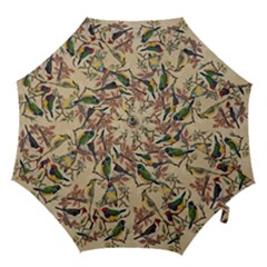 Vintage Birds Hook Handle Umbrellas (medium) by Valentinaart