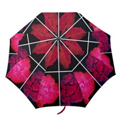 Geranium Collage Folding Umbrellas