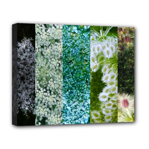 Queen Annes Lace Vertical Slice Collage Deluxe Canvas 20  X 16  (stretched) by okhismakingart