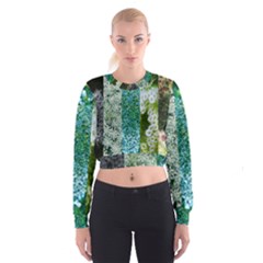 Queen Annes Lace Vertical Slice Collage Cropped Sweatshirt by okhismakingart