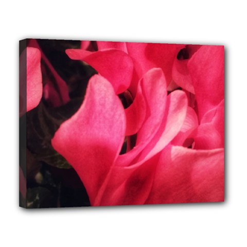 Pink Canvas 14  X 11  (stretched) by okhismakingart