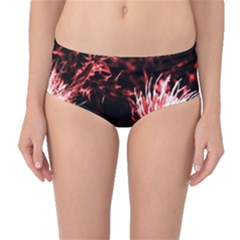 Red Thistle Mid-waist Bikini Bottoms by okhismakingart