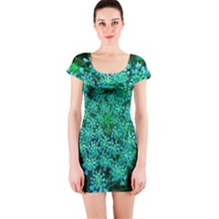 Turquoise Queen Anne s Lace Short Sleeve Bodycon Dress by okhismakingart