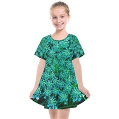 Turquoise Queen Anne s Lace Kids  Smock Dress by okhismakingart