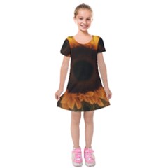 Single Sunflower Kids  Short Sleeve Velvet Dress