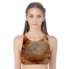 Shell Fossil Ii Tank Bikini Top by okhismakingart