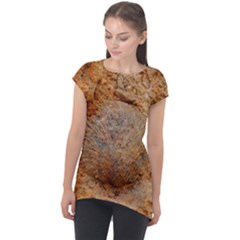 Shell Fossil Ii Cap Sleeve High Low Top by okhismakingart