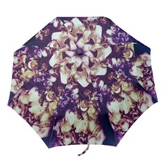 Soft Purple Hydrangeas Folding Umbrellas by okhismakingart