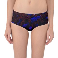 Red-edged Blue Sedum Mid-waist Bikini Bottoms by okhismakingart