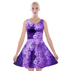 Dark Purple Closing Queen Annes Lace Velvet Skater Dress by okhismakingart