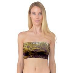 Purple And Yellow Goldenrod Bandeau Top by okhismakingart