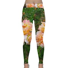 Bunch Of Orange And Pink Roses Classic Yoga Leggings by okhismakingart