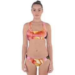 Light Orange And Pink Rose Cross Back Hipster Bikini Set by okhismakingart