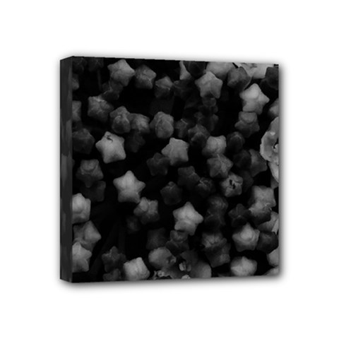 Floral Stars -black And White, High Contrast Mini Canvas 4  X 4  (stretched) by okhismakingart