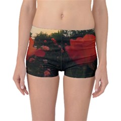 Rose Landscape Boyleg Bikini Bottoms by okhismakingart