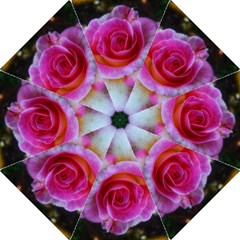 Spiral Rose Folding Umbrellas