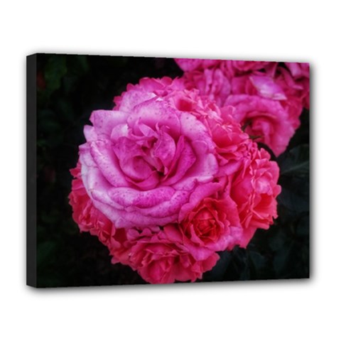 Bunches Of Roses (close Up) Canvas 14  X 11  (stretched) by okhismakingart