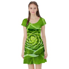 Wurz Houseleek Turmeric Plant Short Sleeve Skater Dress