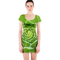 Wurz Houseleek Turmeric Plant Short Sleeve Bodycon Dress by Pakrebo