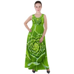 Wurz Houseleek Turmeric Plant Empire Waist Velour Maxi Dress by Pakrebo