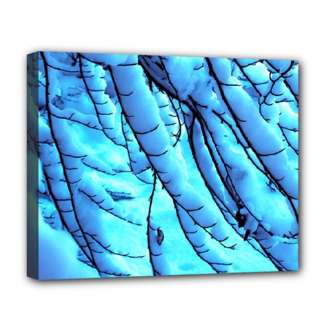 Winter Branch Tree Beech Snow Deluxe Canvas 20  X 16  (stretched) by Pakrebo