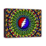 Grateful Dead Deluxe Canvas 16  x 12  (Stretched) 