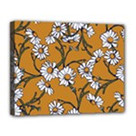 Daisy Canvas 14  x 11  (Stretched)