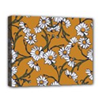 Daisy Deluxe Canvas 20  x 16  (Stretched)