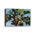 Palm Tree Mini Canvas 6  x 4  (Stretched)